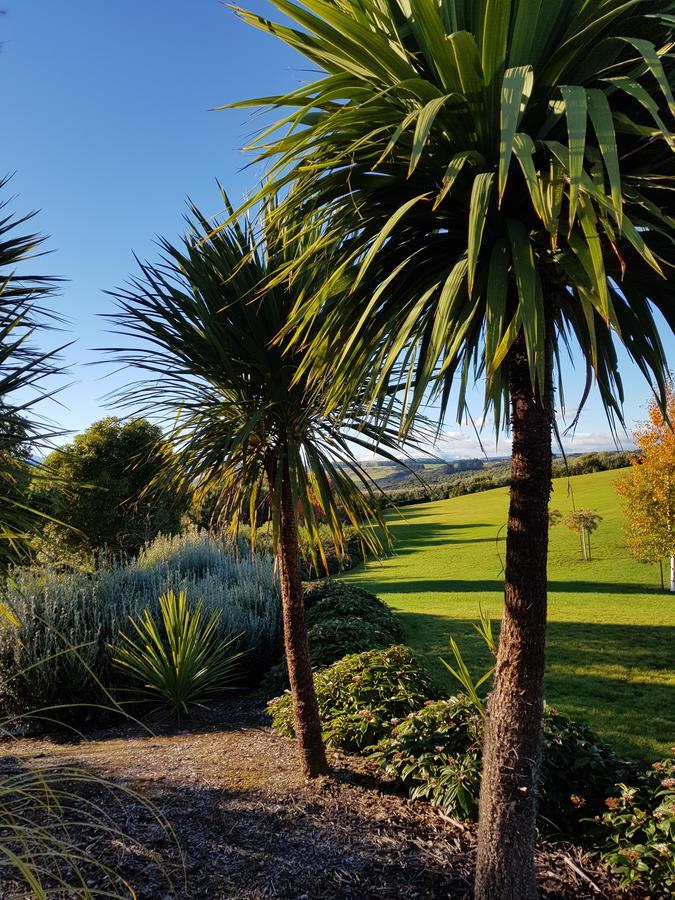 Murchison View Studio Te Anau Luaran gambar